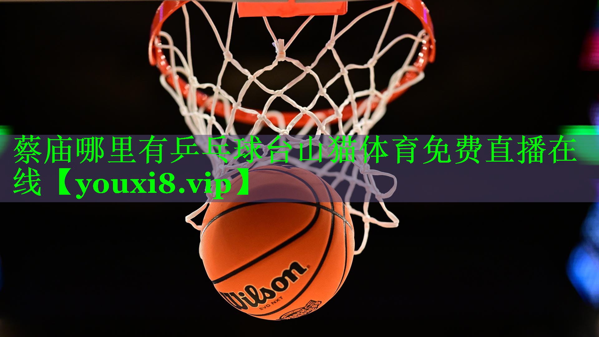 蔡庙哪里有乒乓球台山猫体育免费直播在线