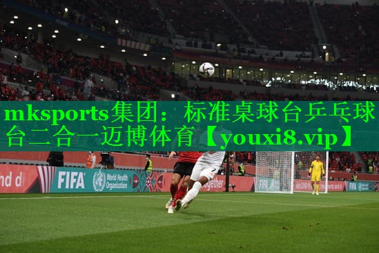 mksports集团：标准桌球台乒乓球台二合一迈博体育