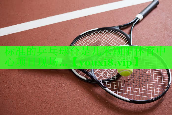 标准的乒乓球台是几米潮阳体育中心项目现场…