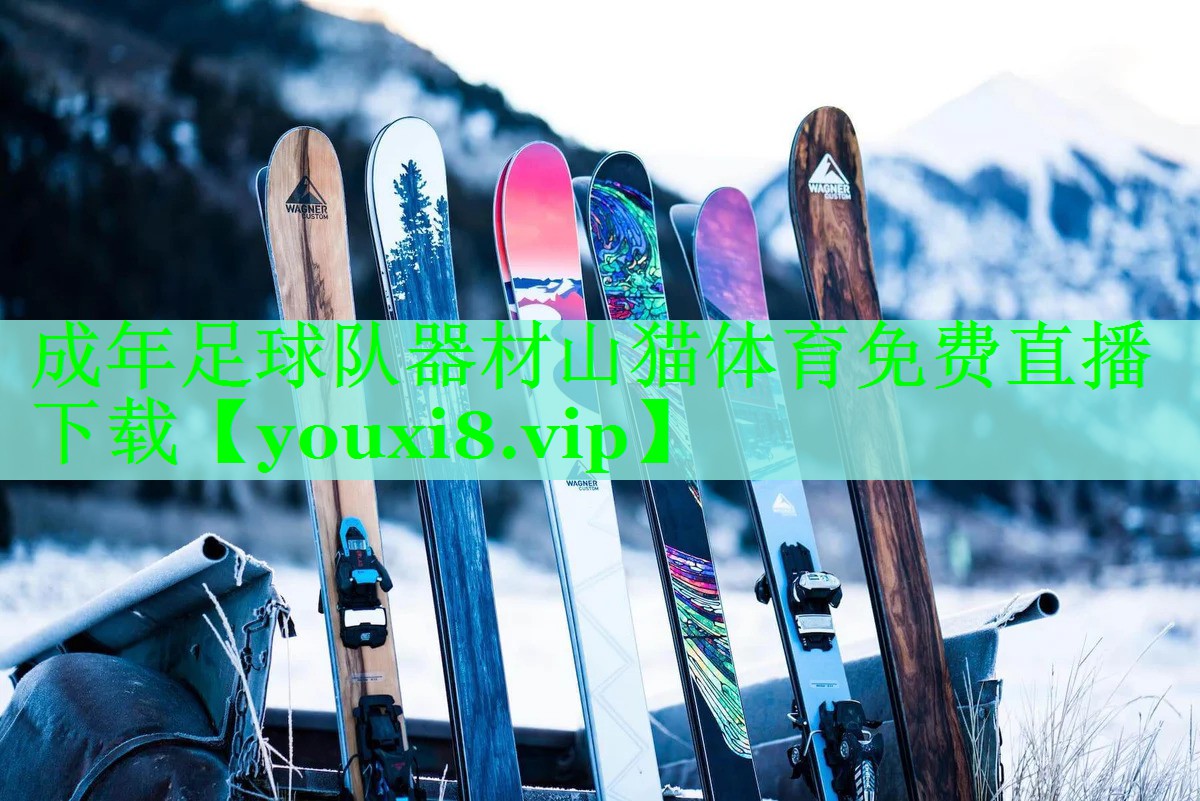 成年足球队器材山猫体育免费直播下载