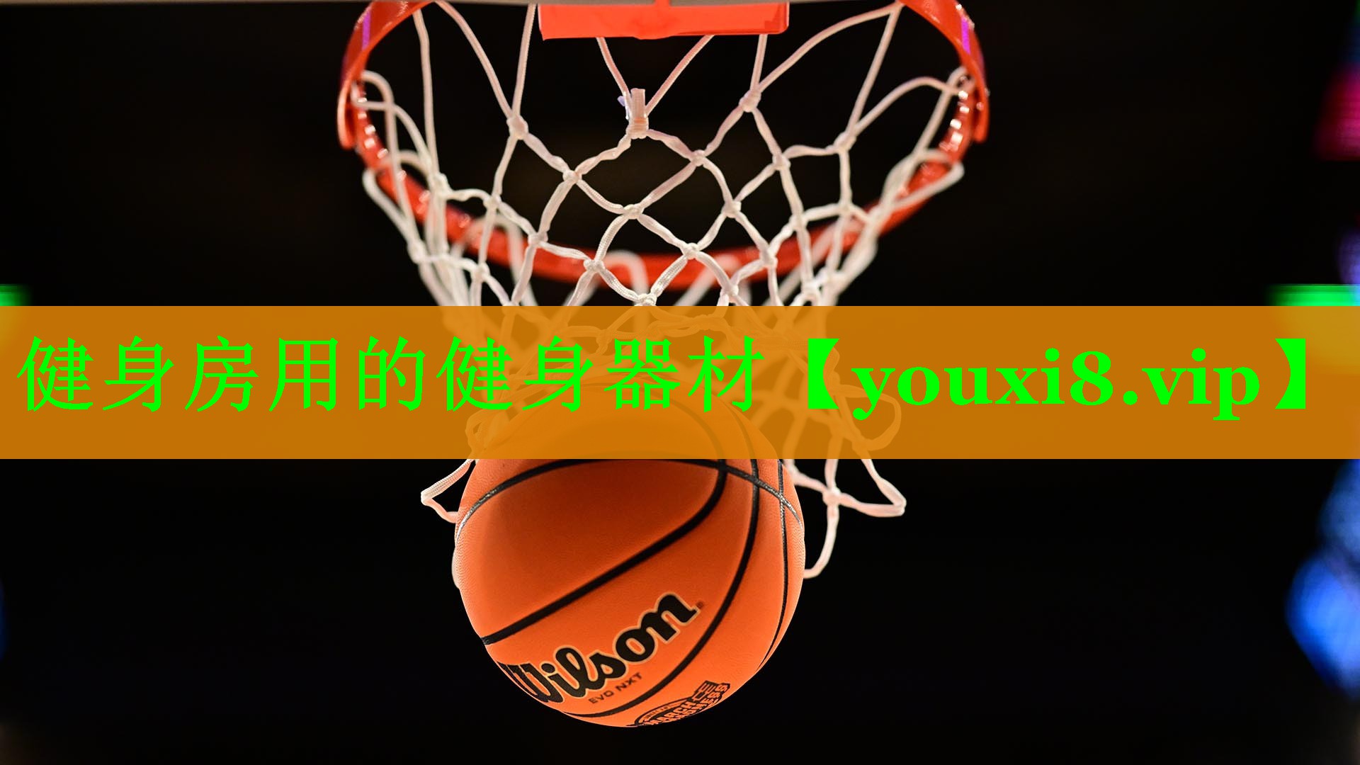 健身房用的健身器材