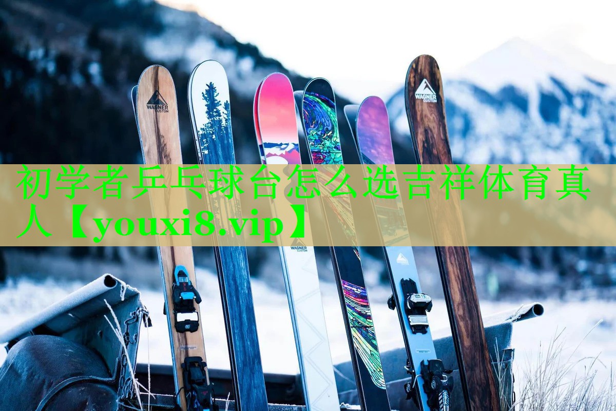 初学者乒乓球台怎么选吉祥体育真人