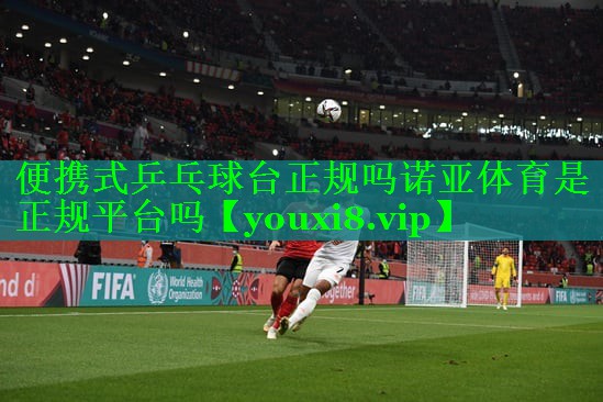 便携式乒乓球台正规吗诺亚体育是正规平台吗