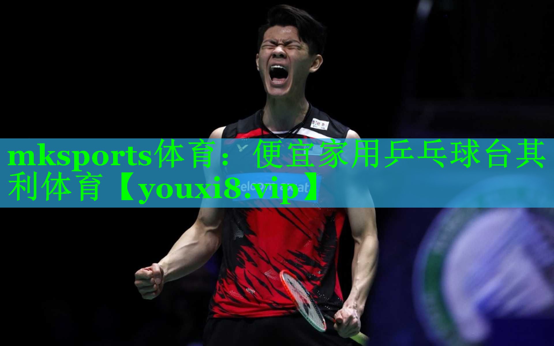 mksports体育：便宜家用乒乓球台其利体育